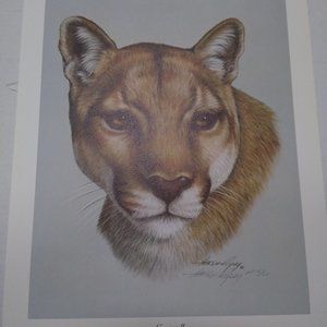 Cougar II AP 15/25 by Harold Rigsby Signed